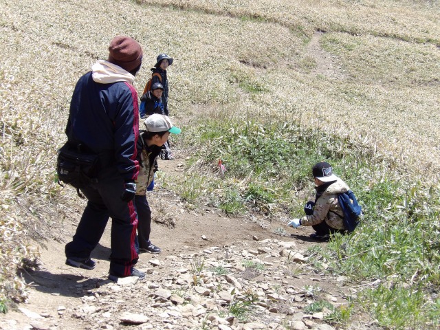 s-IMGP0399.jpg