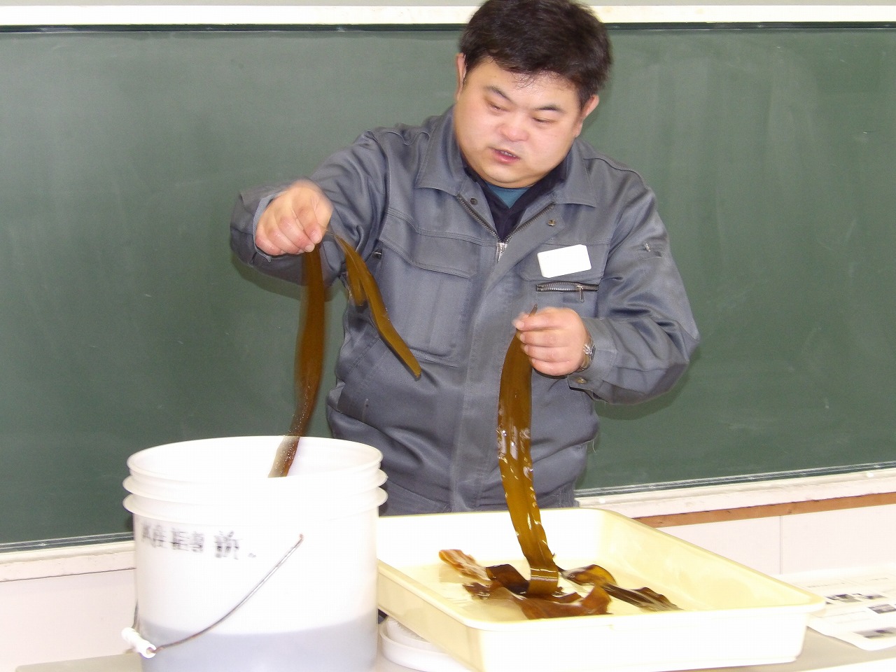 IMGP0345.jpg