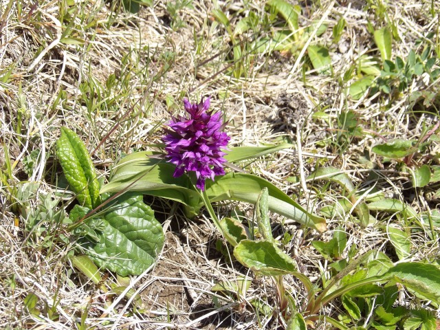 s-IMGP0401.jpg