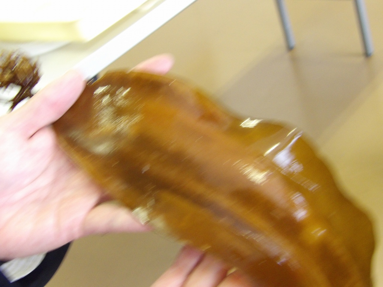 IMGP0338.jpg