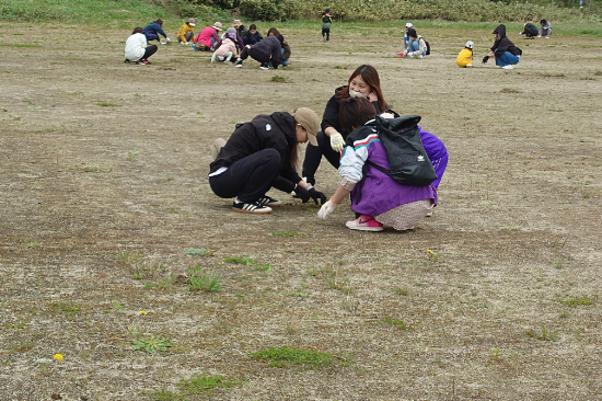20250517_103100.JPG
