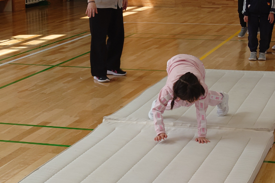 20250508_114231.JPG
