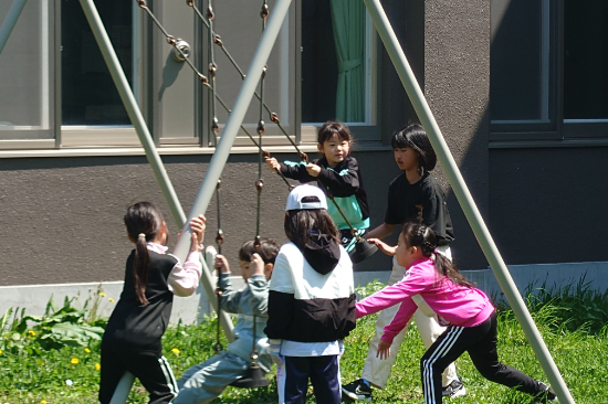 20250519_101141.JPG