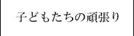 各種データ