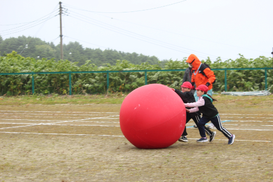 IMG_8454.JPG