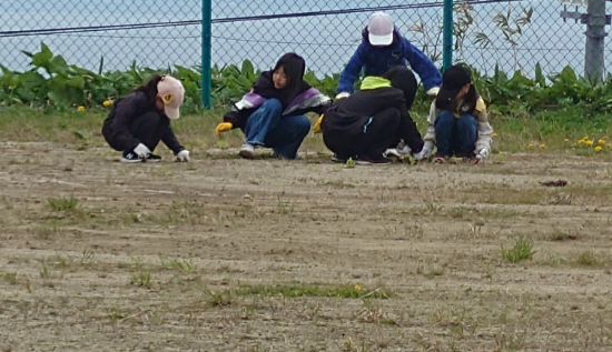 20250517_103106.JPG