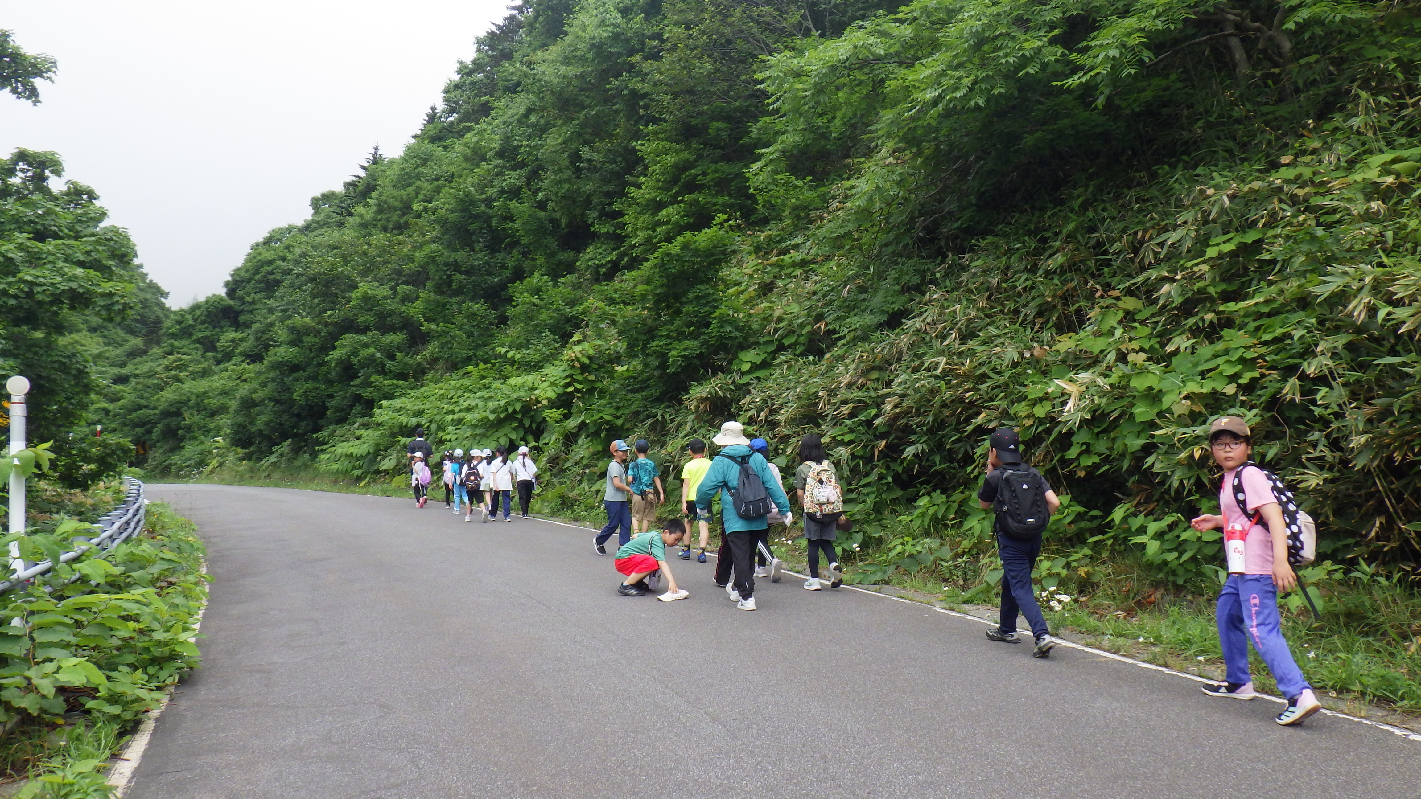 IMGP0746.JPG