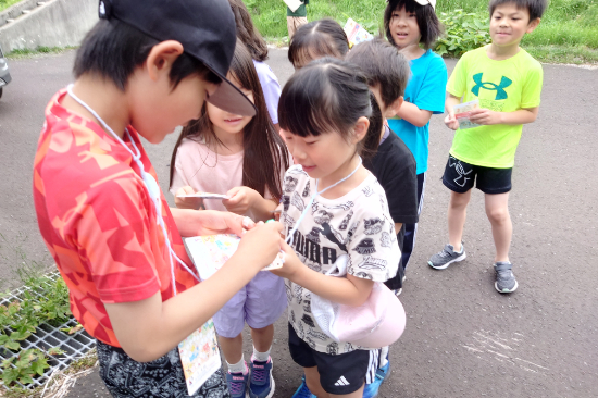 20250725_070334.JPG